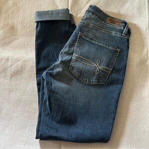 Denizen from Levi's Blue Jeans with Distinctive Dragonfly Stitching